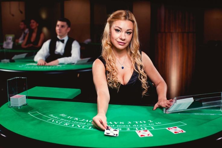 BetWinner Live Casino